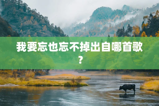 我要忘也忘不掉出自哪首歌？