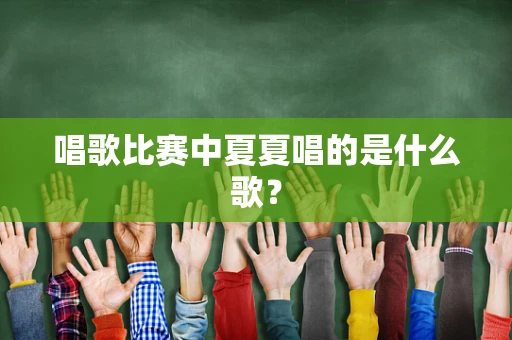 唱歌比赛中夏夏唱的是什么歌？