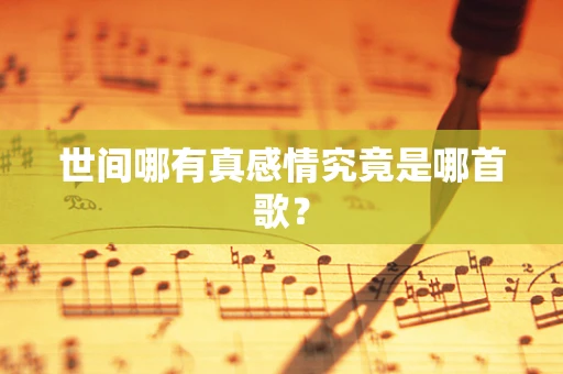 世间哪有真感情究竟是哪首歌？