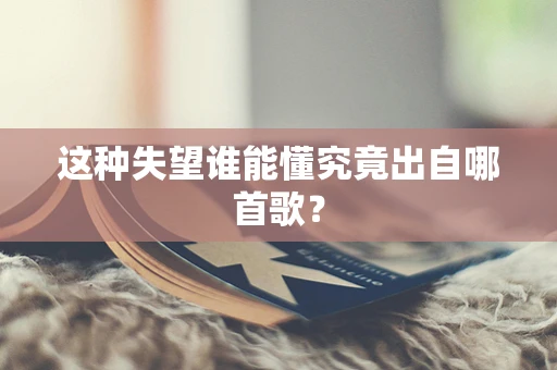 这种失望谁能懂究竟出自哪首歌？