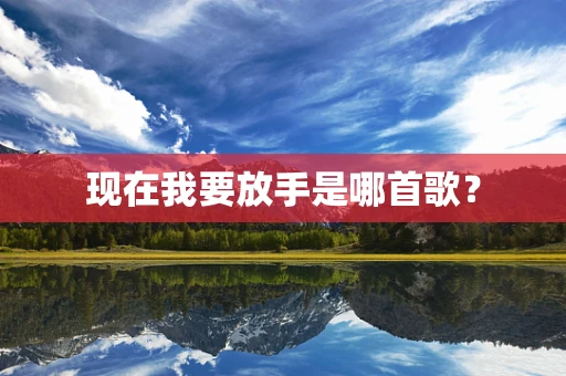 现在我要放手是哪首歌？
