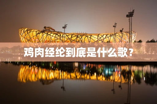 鸡肉经纶到底是什么歌？