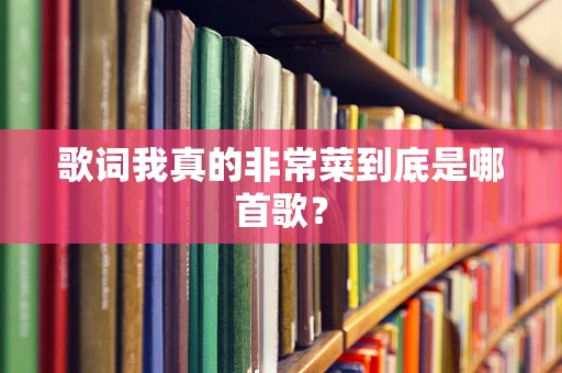 歌词我真的非常菜到底是哪首歌？