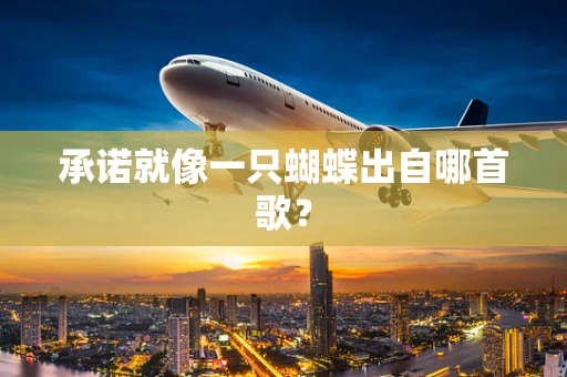 承诺就像一只蝴蝶出自哪首歌？