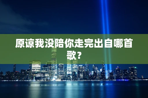 原谅我没陪你走完出自哪首歌？