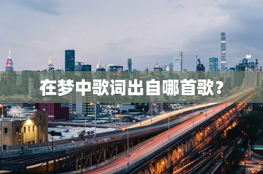 在梦中歌词出自哪首歌？