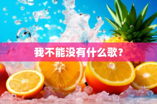 我不能没有什么歌？