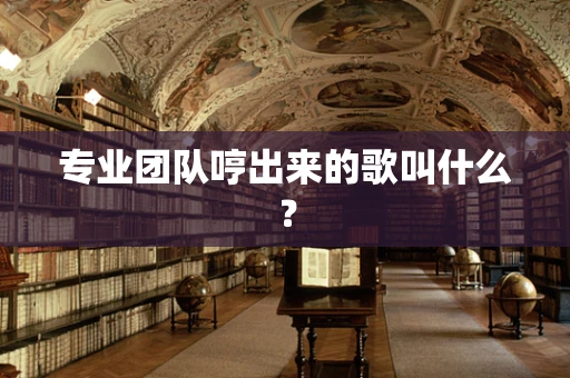 专业团队哼出来的歌叫什么？