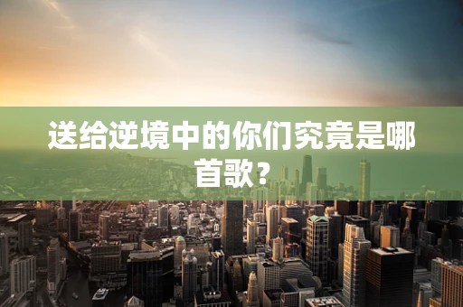 送给逆境中的你们究竟是哪首歌？