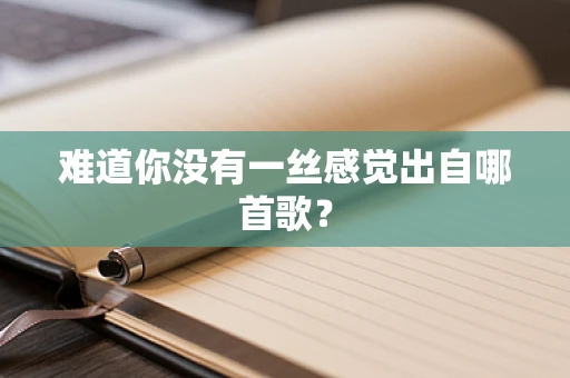 难道你没有一丝感觉出自哪首歌？