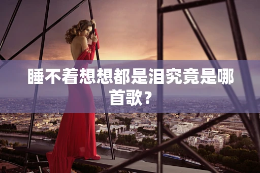 睡不着想想都是泪究竟是哪首歌？