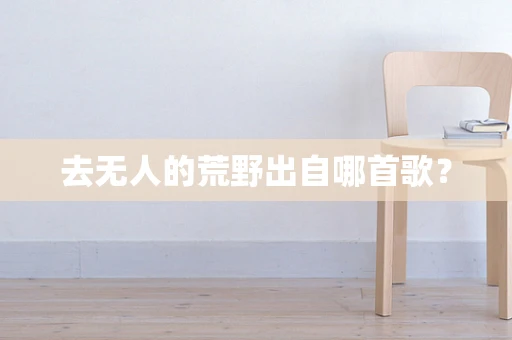 去无人的荒野出自哪首歌？
