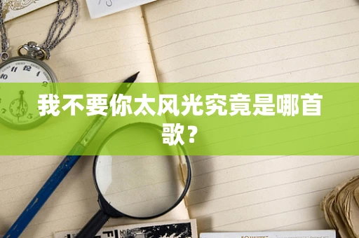 我不要你太风光究竟是哪首歌？