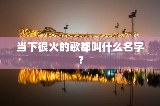 当下很火的歌都叫什么名字？