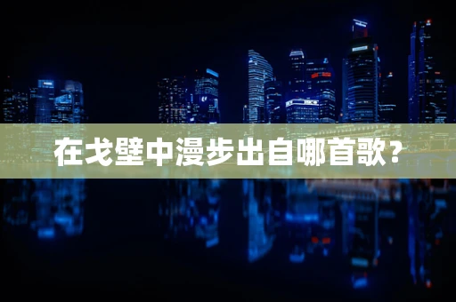 在戈壁中漫步出自哪首歌？