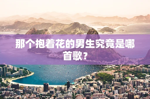 那个抱着花的男生究竟是哪首歌？