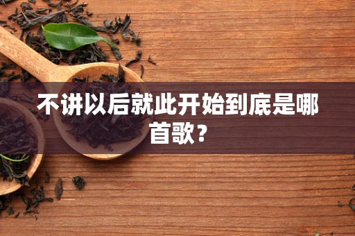 不讲以后就此开始到底是哪首歌？