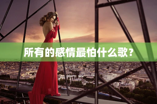 所有的感情最怕什么歌？