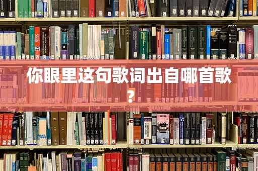 你眼里这句歌词出自哪首歌？