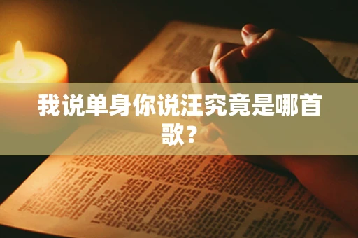 我说单身你说汪究竟是哪首歌？