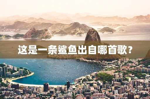 这是一条鲨鱼出自哪首歌？