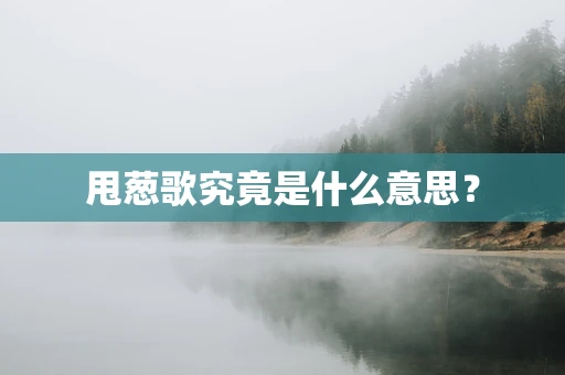 甩葱歌究竟是什么意思？