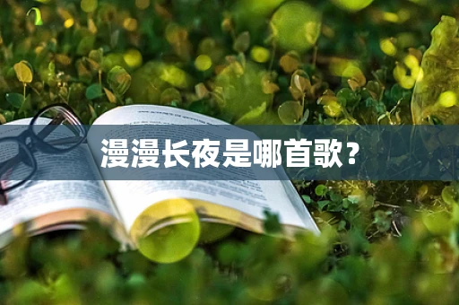 漫漫长夜是哪首歌？