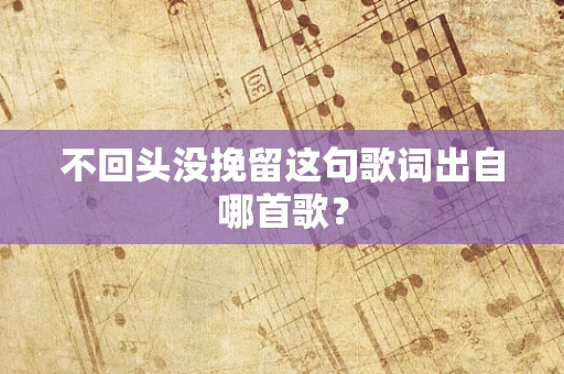 不回头没挽留这句歌词出自哪首歌？