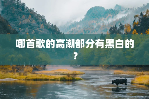哪首歌的高潮部分有黑白的？
