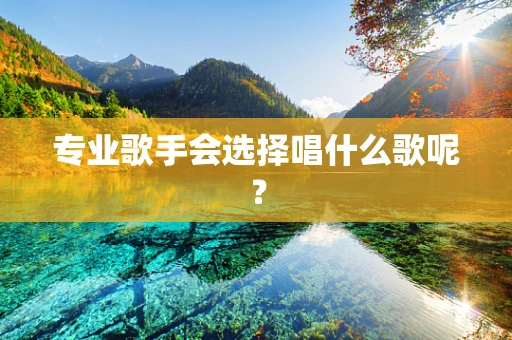 专业歌手会选择唱什么歌呢？