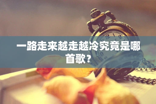一路走来越走越冷究竟是哪首歌？