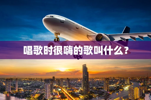 唱歌时很嗨的歌叫什么？