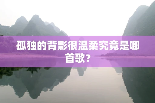 孤独的背影很温柔究竟是哪首歌？