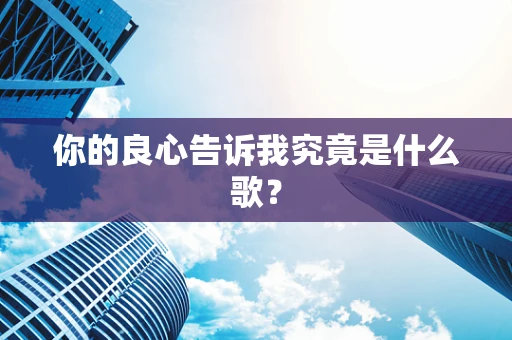 你的良心告诉我究竟是什么歌？