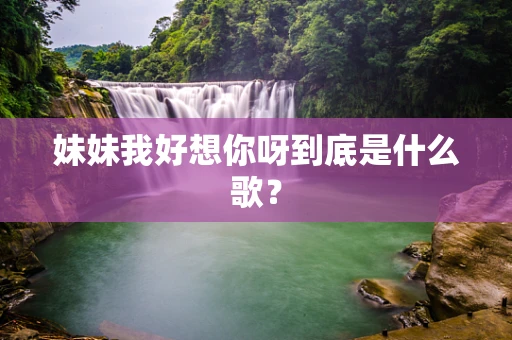 妹妹我好想你呀到底是什么歌？