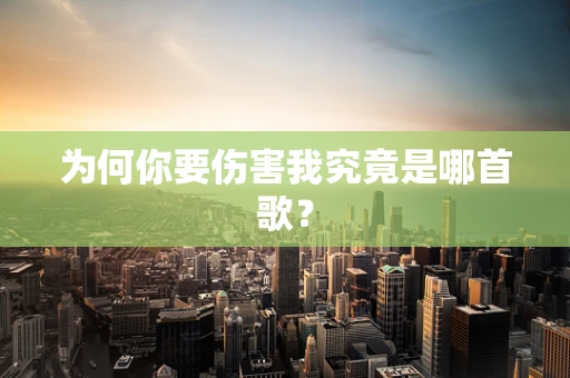 为何你要伤害我究竟是哪首歌？