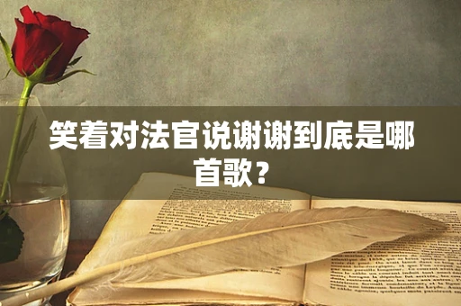 笑着对法官说谢谢到底是哪首歌？
