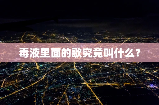 毒液里面的歌究竟叫什么？