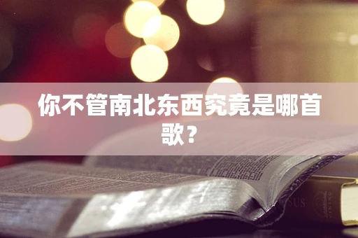 你不管南北东西究竟是哪首歌？