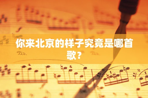 你来北京的样子究竟是哪首歌？