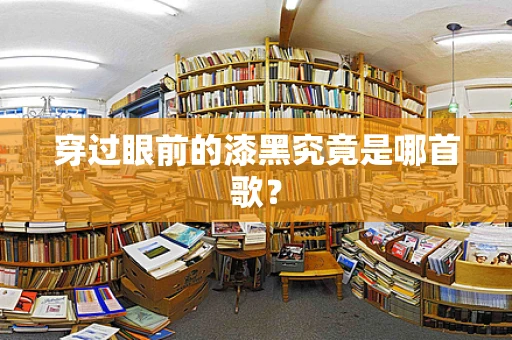 穿过眼前的漆黑究竟是哪首歌？