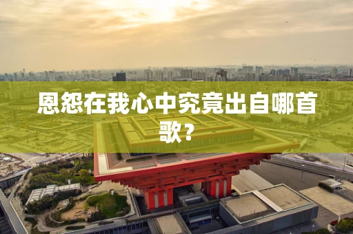 恩怨在我心中究竟出自哪首歌？