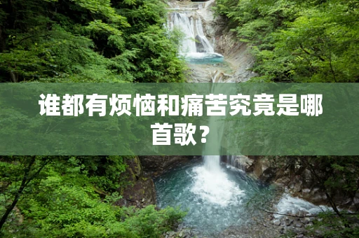 谁都有烦恼和痛苦究竟是哪首歌？