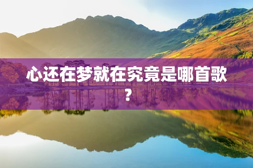 心还在梦就在究竟是哪首歌？