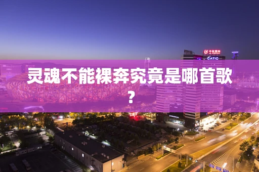 灵魂不能裸奔究竟是哪首歌？