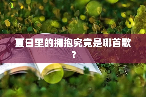 夏日里的拥抱究竟是哪首歌？