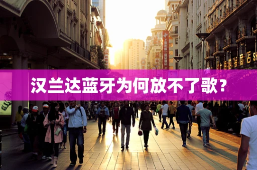 汉兰达蓝牙为何放不了歌？