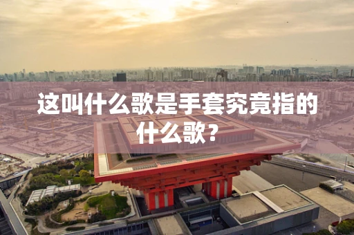 这叫什么歌是手套究竟指的什么歌？