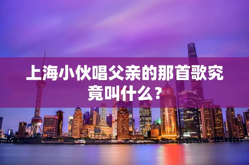 上海小伙唱父亲的那首歌究竟叫什么？