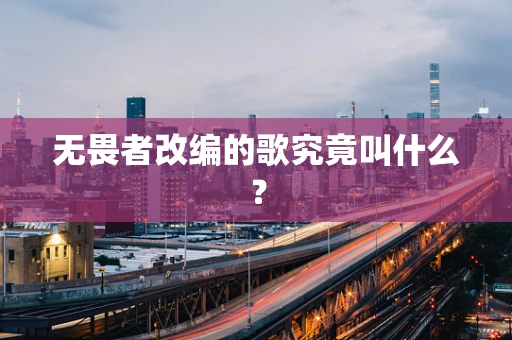 无畏者改编的歌究竟叫什么？